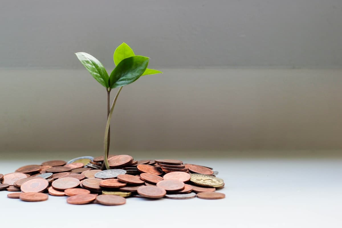 How to Save on Over-the-Counter Medications in 2025