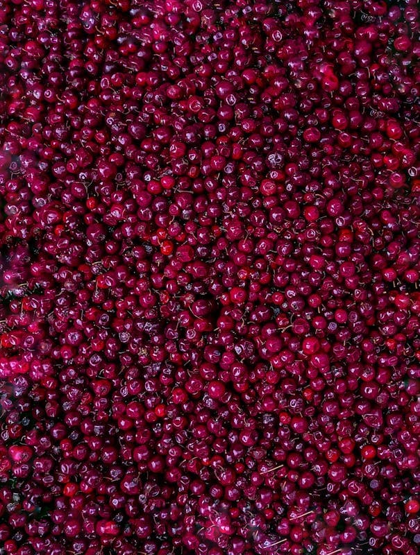 Urinary Tract Infection in Summer: Nitrofurantoin, Cranberry, and When to See a Doctor