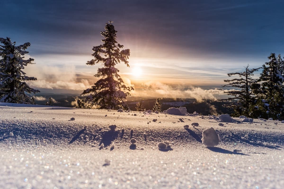 Winter Energy: Exercise, Light, Protein - Instead of 5 Packs of Supplements